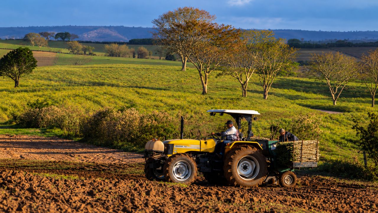 fazendo realizando um trabalho em uma grande fazenda