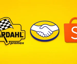 presença da Bardahl no marketplace do Mercado Livre e Shopee