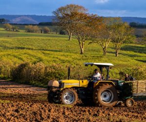 fazendo realizando um trabalho em uma grande fazenda