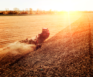 shutterstock_1192562161