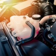 shutterstock_1247405170 (1)